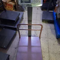 ترازو ۳۱۰کیلویی