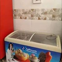 دو عدد یخچال ایستاده و فریزر