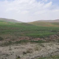 زمین-دیم-6480-متر