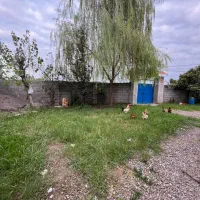 خونه شالیزار6700متری محدوده رشت شرایطی(آناملک)|فروش خانه و ویلا|رشت, حومه رشت|دیوار