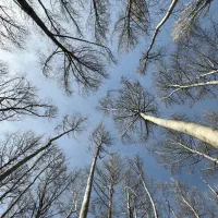 استخدام فروشنده خوش پوش و منظم