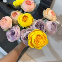 دکوری|حراج|فردیس, شهرک ناز|دیوار