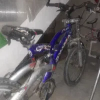 دوچرخه پسرانه و دخترانه