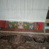 نخ ونقشه فرش کامل|فرش|فردیس, ثابتی|دیوار