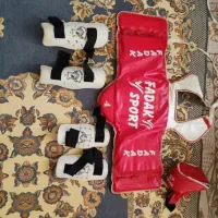 هوگو تکواندو