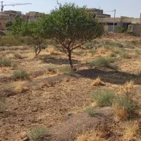 زمین 160متری شمالی|فروش زمین و ملک کلنگی|نجفآباد, طالقانی|دیوار