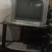 سه تاش باهم