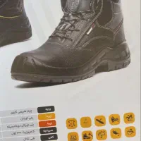 کفش کار ۴۳