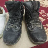 پوتین وکتونی