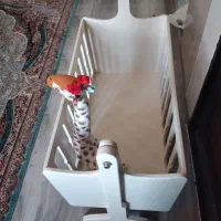 گهواره نوزاد