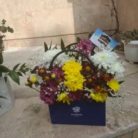 گل طبیعی|گل و گیاه طبیعی|مشهد, عامل|دیوار