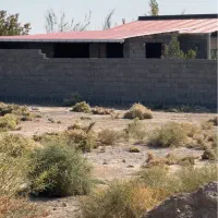 ۸۰۰متر بر خیابان.بهترین سرمایه گذاری .یک سوم قیمت|فروش زمین و ملک کلنگی|شبستر, |دیوار