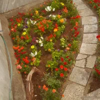 خدمات باغبانی صفرتاصد کودتقویتی خاک گلدون گلکاری