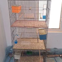 قفس بزرگ با تمامی وسایل قیمت مناسب