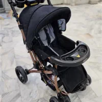 یک عدد کالسکه نونو بنیتا دلیجان