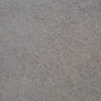 بذرجوآبی|عمده‌فروشی|لالجین, |دیوار