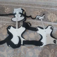 گردن بند