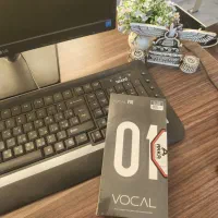 vocal 01