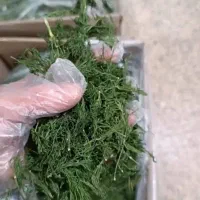 فروش ادویجات وترشیجات خانگی|خوردنی و آشامیدنی|شاهین‌شهر, خانه کارگر|دیوار