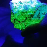 گوهر شب چراغ