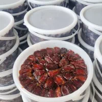 فروش عمده خرمای جنوب و مشتقات قیمت رقابتی