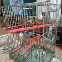 لوستر،پشتی،قفس|لوستر و چراغ آویز|شوشتر, |دیوار