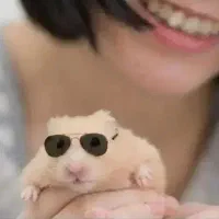 همستر کمپل مینیاتوری