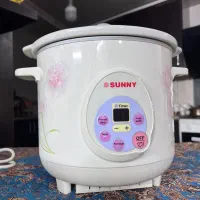 پلوپز و آرام پز|اجاق گاز و لوازم برقی پخت‌وپز|یزد, |دیوار