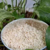 برنج هاشمی اعلا
