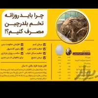 تخم مرغ خونگی تازه وتخم بلدرچین تازه|خوردنی و آشامیدنی|نجف‌آباد, شهدای غربی|دیوار