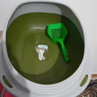 ظرف خاک گربه