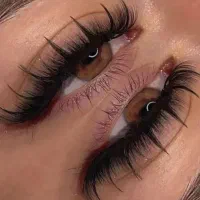 آموزش اکستنشن و خدمات