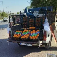 چادر گمشده در ریل ویل