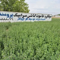 فروش اقساطی مخزن اب کولر وابگرمکن و...|مصالح و تجهیزات ساختمان|لردگان, |دیوار