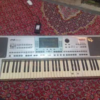 ساز اورگ pa50