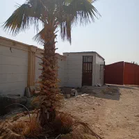 باغ . انبار . تالار|فروش دفتر صنعتی، کشاورزی، تجاری|بوشهر, |دیوار