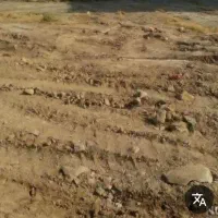 فروش زمین در روستای برجویی