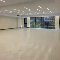 ۱۹۸ متر / پارک ساعی/ تکواحدی / فول امکانات|فروش آپارتمان|تهران, آرژانتین|دیوار