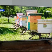 آل ای دی ال جی کم کار