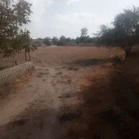 زمین 3000 متری محدوده گلبهار|فروش زمین و ملک کلنگی|گلبهار, نوبهار|دیوار