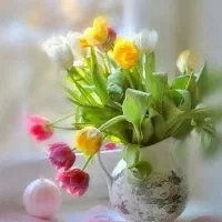 نیاز به نظافت و آشپزی