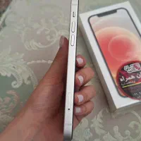 Iphone 12 Normal - آیفون 12 نرمال|موبایل|مشهد, گوهرشاد|دیوار