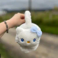 گوشگیر|لباس|رشت, دروازه لاکان|دیوار