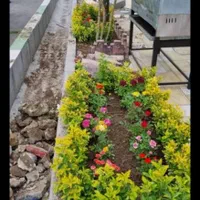 تعویض خاک گلدان در محل تضمینی مدیریت خانم اکبری|خدمات باغبانی و درختکاری|تهران, زعفرانیه|دیوار