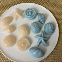 شمع دریایی|صنایع دستی و سایر لوازم تزئینی|سبزوار, عظیمیان|دیوار