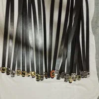 فروش وپخش کمربند|کیف، کفش، کمربند|گالیکش, |دیوار