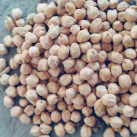 فروش نخود درجه یک|خوردنی و آشامیدنی|صحنه, |دیوار