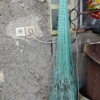 یک عدد سلیه شبح