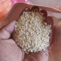 برنج هندی به شرط زیر قیمت کیلو 60|عمده‌فروشی|شیراز, محراب|دیوار