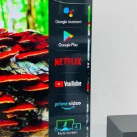 تلوزیون 65 اینچ|تلویزیون و پروژکتور|چهاردانگه (تهران), |دیوار